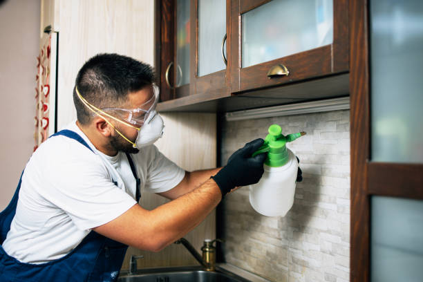 Reliable Burt, MI Pest Control Solutions