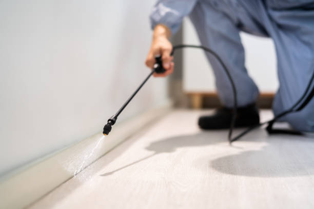 Best Affordable Pest Control Services  in Burt, MI
