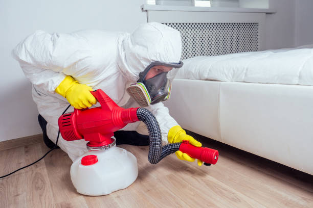 Best Residential Pest Control  in Burt, MI