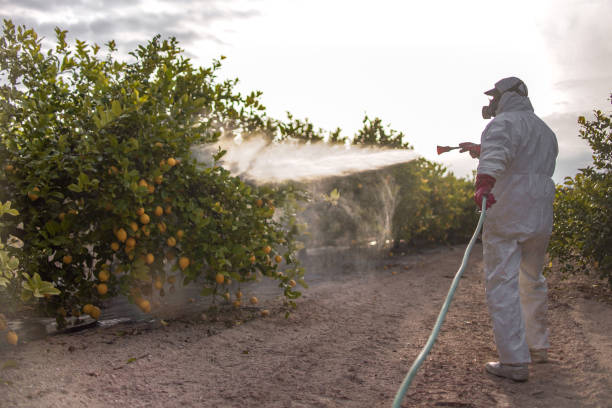 Best Affordable Pest Control Services  in Burt, MI