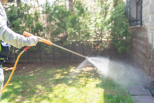 Best Local Pest Control Services  in Burt, MI