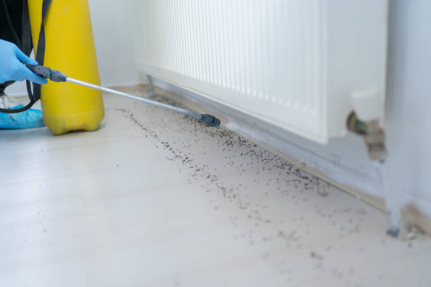 Pest Control for Restaurants in Burt, MI