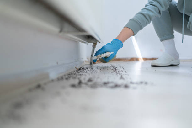 Best Best Pest Control Companies  in Burt, MI